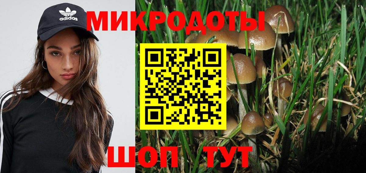 Псилоцибиновые грибы MAGIC MUSHROOMS  Вход с VPN  Назрань  Галлюциногенные грибы Cubensis 